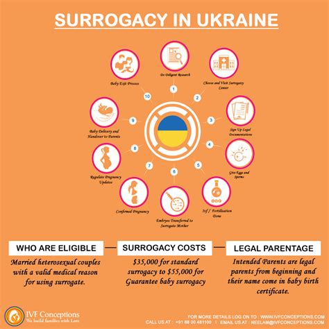 Surrogacy In Ukraine: Costs, Legal Status, and Laws